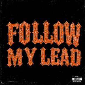 Zerry DL — Follow My Lead artwork