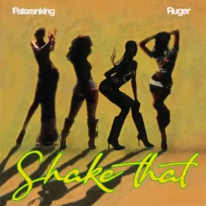 Patoranking — Shake That artwork