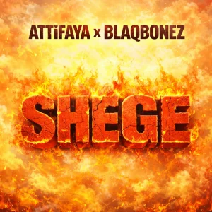 AttiFaya — Shege artwork