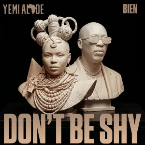 Yemi Alade — Don’t Be Shy artwork