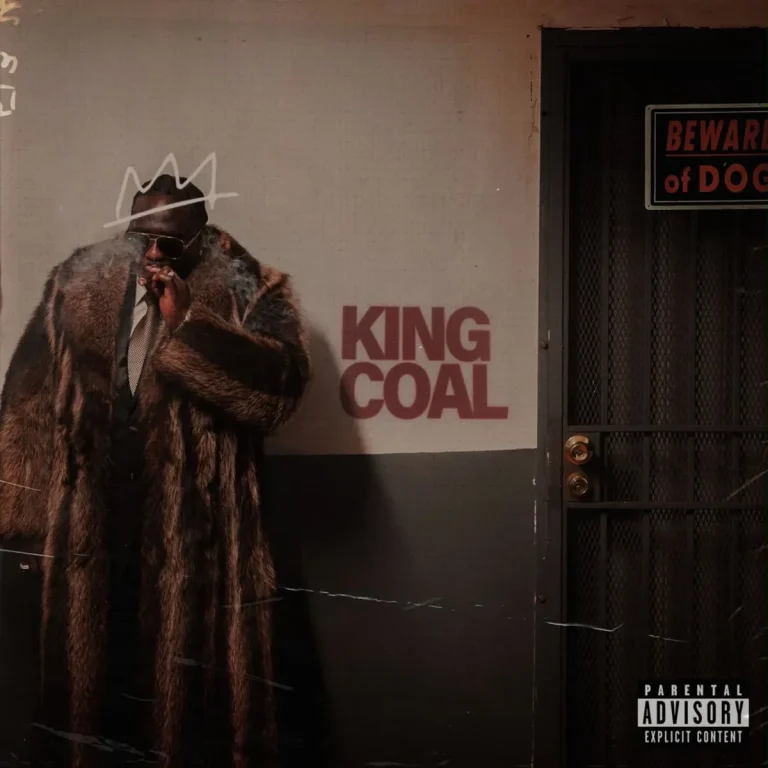Wande Coal – Feelings by Wande Coal