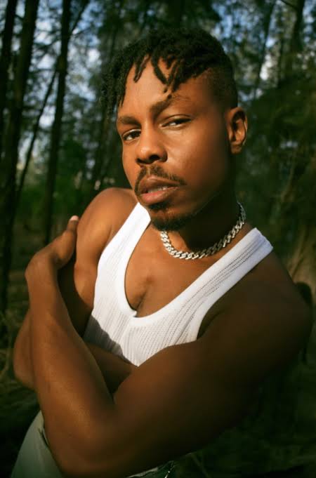 Ladipoe