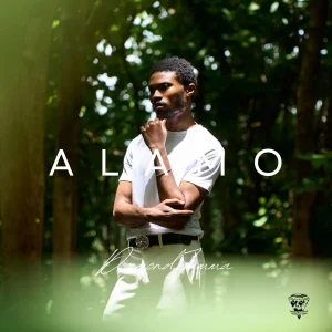 Diamond Jimma — Alamo artwork