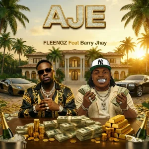 Fleengz — Aje artwork
