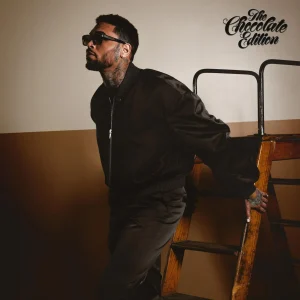 Chris Brown — Man On A Mission artwork