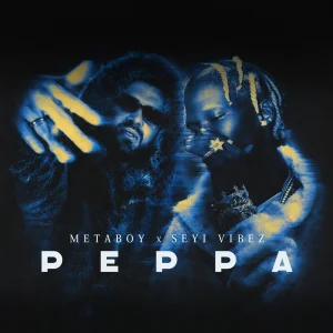 MetaBoy — Peppa