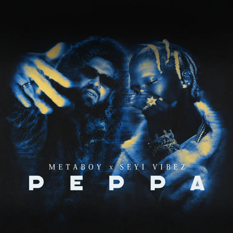 MetaBoy