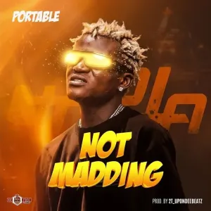 Portable — Not Madding artwork