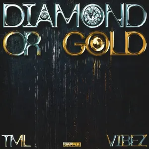 Tml Vibez — Diamond or Gold artwork