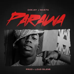 Deejay J Masta — Parawa artwork