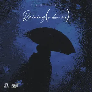 Niniola &mdash; Raining (O Dun Mi) artwork