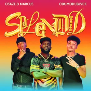 Osaze & Marcus — Splendid artwork