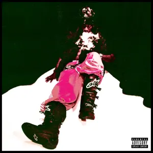 PsychoYP — WHO BORN THE MAGA artwork