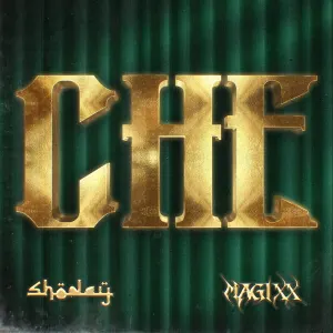 Shoday — CHE artwork