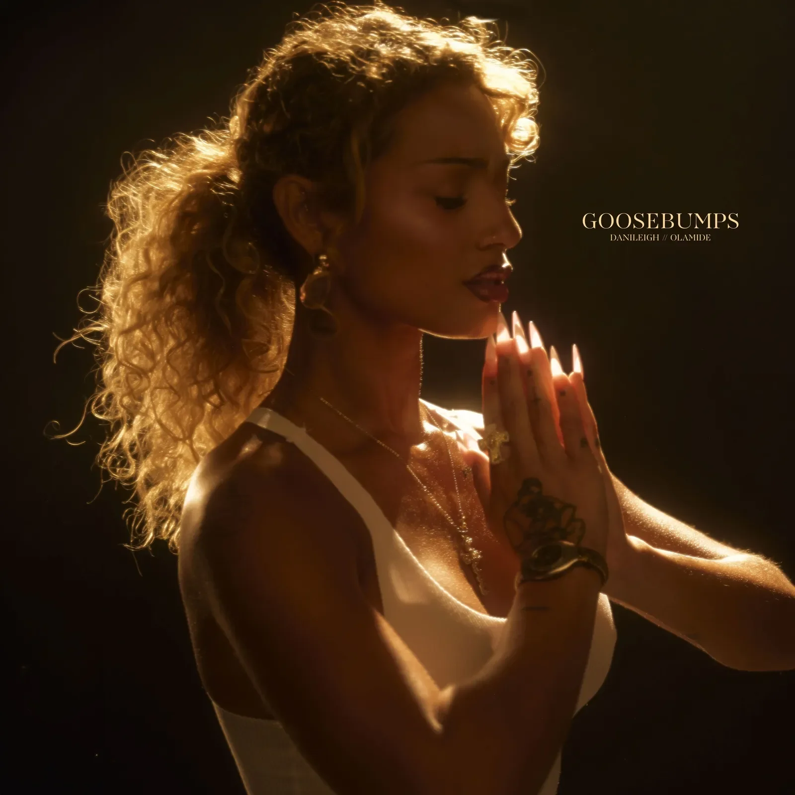 DaniLeigh – Goosebumps ft. Olamide
