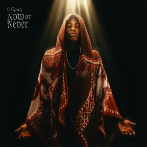 Lil Frosh — NOW OR NEVER artwork